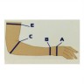 Рукав компрессионный кругловязаный РККВ "ЦК" вид 5 - рукав удлиненный с перчаткой, с фиксирующей застежкой, размер № 4
